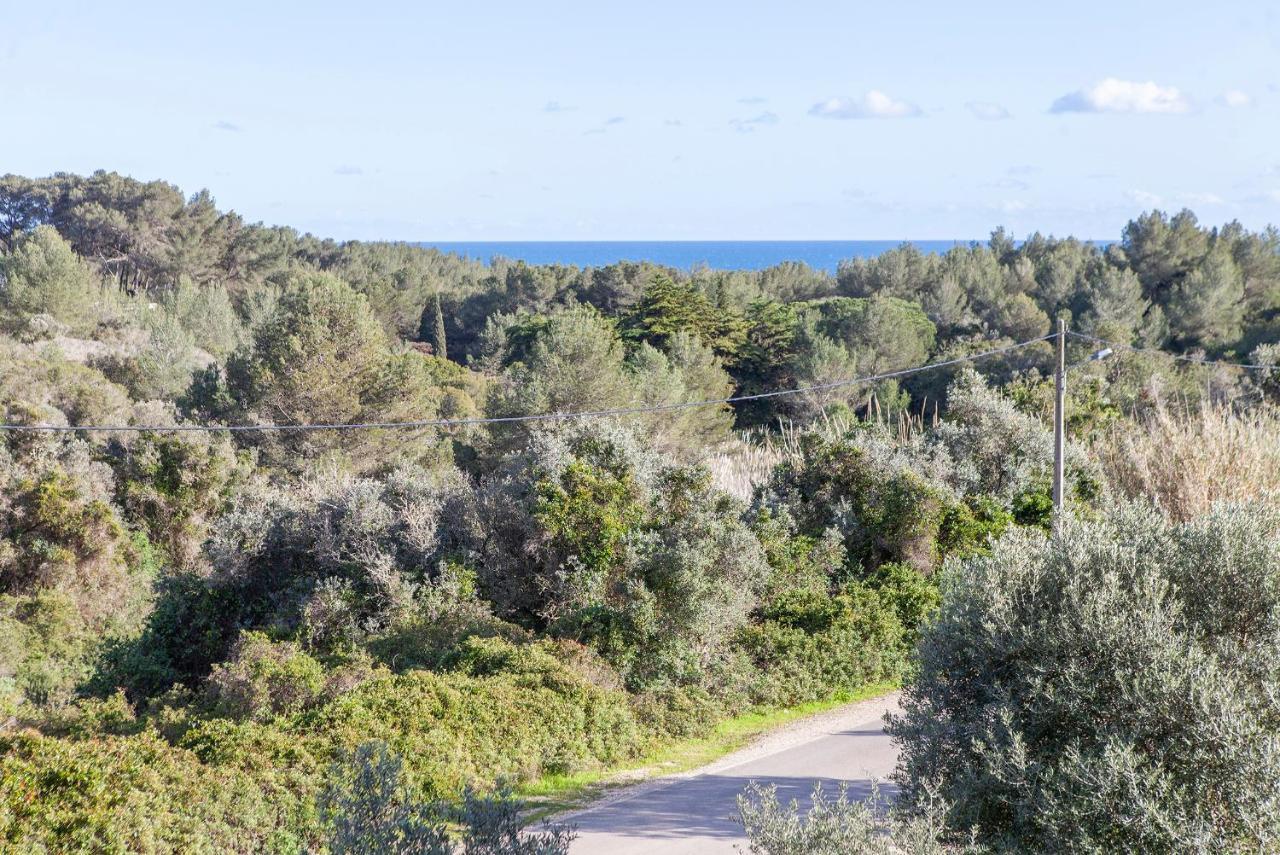 B75 - Casa Delfim In Alfanzina Carvoeiro Lejlighed Carvoeiro  Eksteriør billede